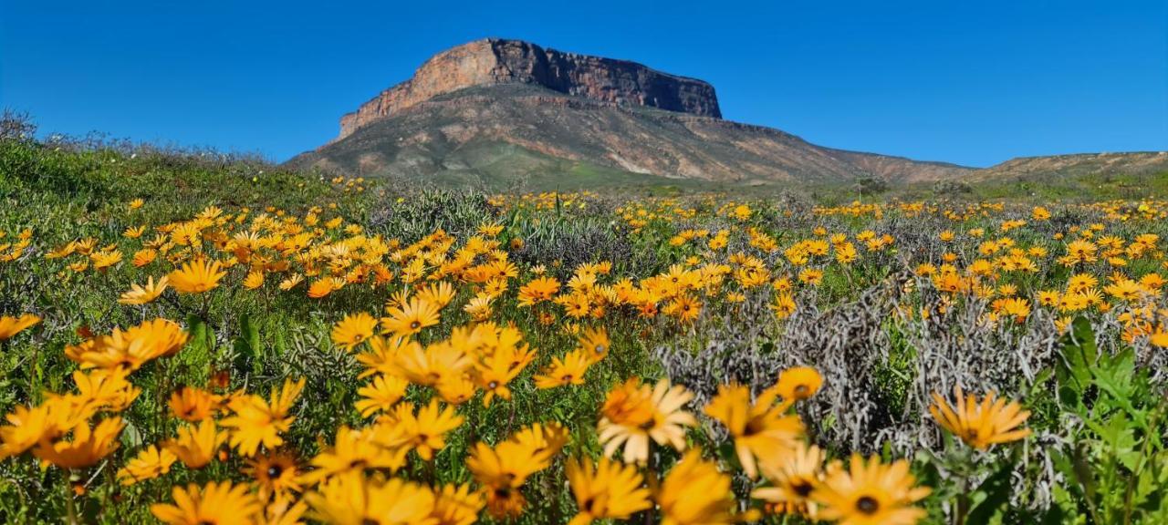 Mountain View Guesthouse Vanrhynsdorp Buitenkant foto