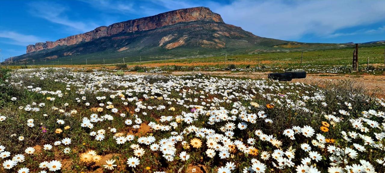 Mountain View Guesthouse Vanrhynsdorp Buitenkant foto